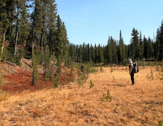 5J5A9318.JPG 5J5A9318.JPG