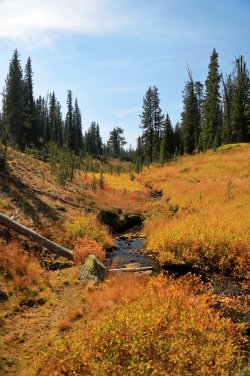 5J5A9323.JPG 5J5A9323.JPG