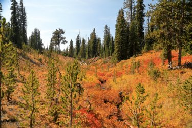 5J5A9326.JPG 5J5A9326.JPG