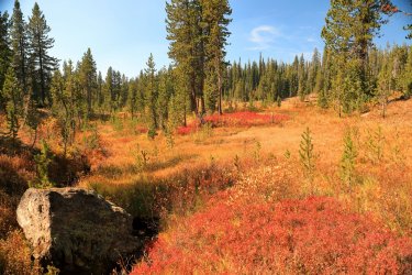 5J5A9331.JPG 5J5A9331.JPG