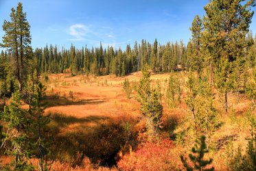 5J5A9332.JPG 5J5A9332.JPG