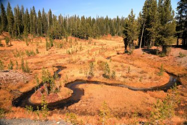 5J5A9336.JPG 5J5A9336.JPG