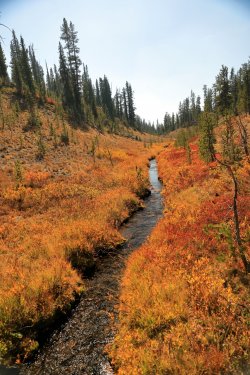 5J5A9341.JPG 5J5A9341.JPG