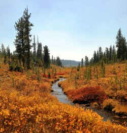 5J5A9345.JPG 5J5A9345.JPG