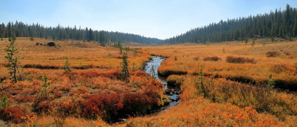 5J5A9346.JPG 5J5A9346.JPG