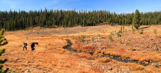 5J5A9351.JPG 5J5A9351.JPG