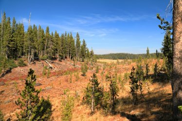 5J5A9354.JPG 5J5A9354.JPG