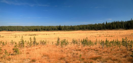 5J5A9356.JPG 5J5A9356.JPG