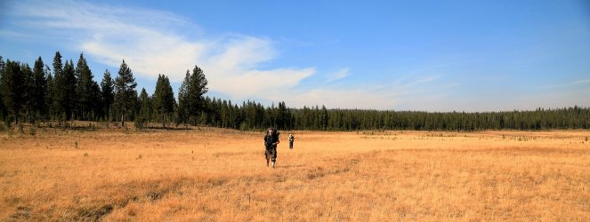 5J5A9359.JPG 5J5A9359.JPG