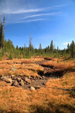 5J5A9360.JPG 5J5A9360.JPG