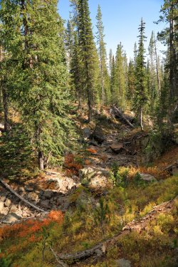 5J5A9363.JPG 5J5A9363.JPG