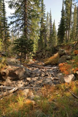 5J5A9364.JPG 5J5A9364.JPG