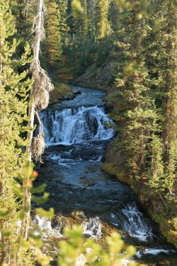 5J5A9374.JPG 5J5A9374.JPG