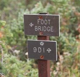 5J5A9380.JPG 5J5A9380.JPG