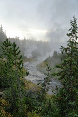 5J5A9385.JPG 5J5A9385.JPG