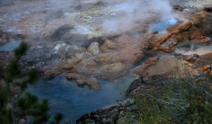 5J5A9403.JPG 5J5A9403.JPG