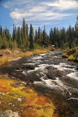 5J5A9455.JPG 5J5A9455.JPG