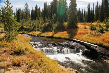 5J5A9459.JPG 5J5A9459.JPG