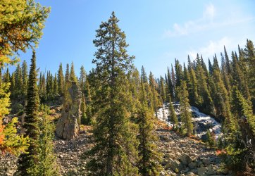 5J5A9487.JPG 5J5A9487.JPG