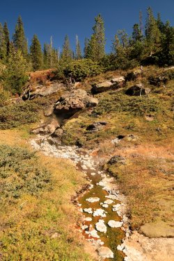 5J5A9504.JPG 5J5A9504.JPG