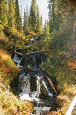 5J5A9510.JPG 5J5A9510.JPG