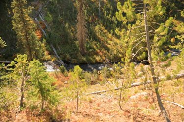 5J5A9533.JPG 5J5A9533.JPG