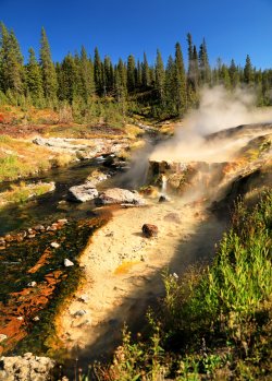 5J5A9545.JPG 5J5A9545.JPG