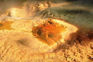 5J5A9548.JPG 5J5A9548.JPG