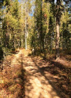 5J5A9555.JPG 5J5A9555.JPG