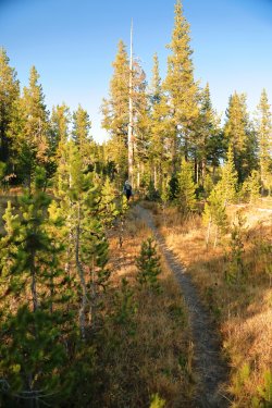 5J5A9572.JPG 5J5A9572.JPG