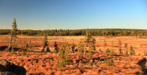 5J5A9576A.JPG 5J5A9576A.JPG