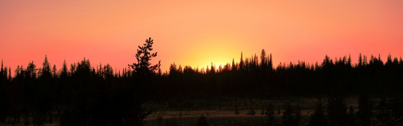 5J5A9581.JPG 5J5A9581.JPG