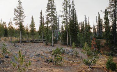 5J5A9586.JPG 5J5A9586.JPG