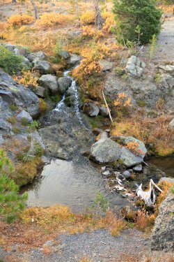 5J5A9595.JPG 5J5A9595.JPG