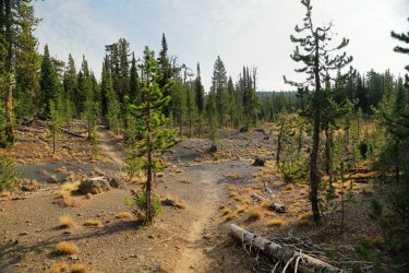 5J5A9597.JPG 5J5A9597.JPG