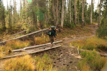 5J5A9600.JPG 5J5A9600.JPG