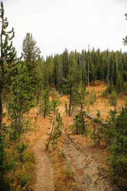 5J5A9609.JPG 5J5A9609.JPG