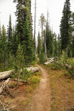 5J5A9611.JPG 5J5A9611.JPG