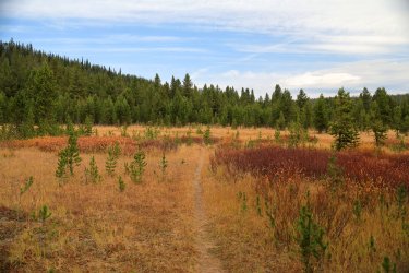 5J5A9616.JPG 5J5A9616.JPG