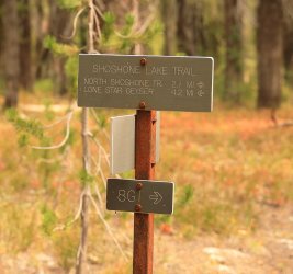 5J5A9617.JPG 5J5A9617.JPG