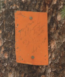 5J5A9638.JPG 5J5A9638.JPG