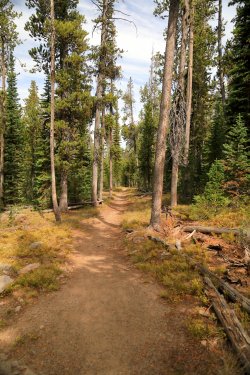 5J5A9640.JPG 5J5A9640.JPG