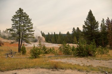 5J5A9649.JPG 5J5A9649.JPG