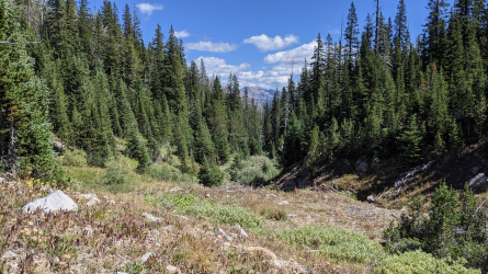 PXL_20210828_200344308.png PXL_20210828_200344308.png