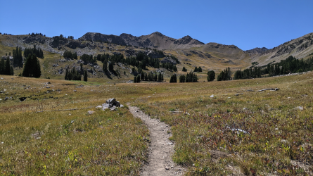 PXL_20210828_203553162.png PXL_20210828_203553162.png