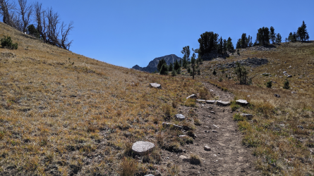 PXL_20210828_205131566.png PXL_20210828_205131566.png