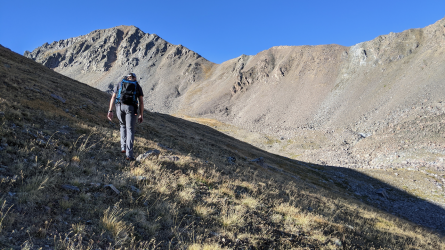 PXL_20210829_144710559.png PXL_20210829_144710559.png