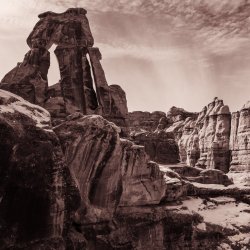 RCM04096-Frosty Needles 1-2021-210108-1.jpg