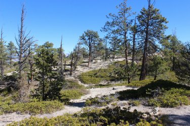 IMG_6730.jpg IMG_6730.jpg