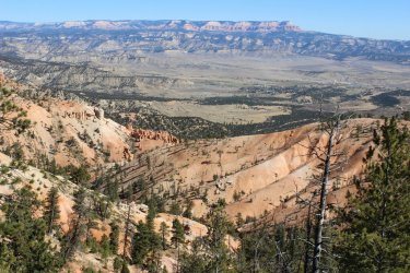 IMG_6731.jpg IMG_6731.jpg